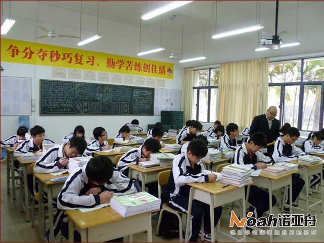 諾亞舟教育