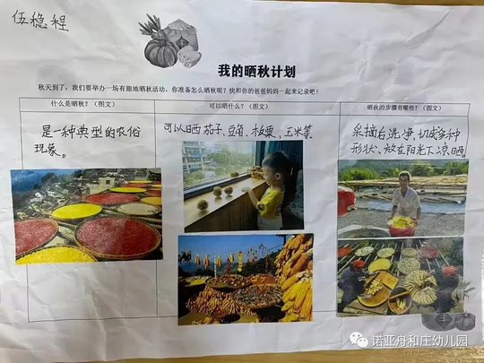 萌娃晒秋天,乐享丰收——诺亚舟和庄幼儿园“丰收中国·晒秋”主题活动(一) 萌娃晒秋天,乐享丰收——诺亚舟和庄幼儿园“丰收中国·晒秋”主题活动(一)