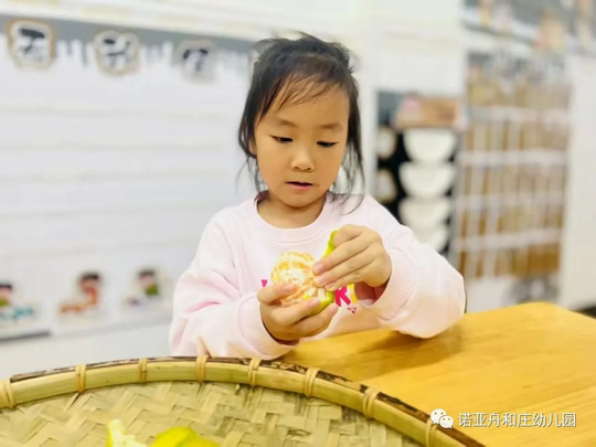 萌娃晒秋天,乐享丰收——诺亚舟和庄幼儿园“丰收中国·晒秋”主题活动(一) 萌娃晒秋天,乐享丰收——诺亚舟和庄幼儿园“丰收中国·晒秋”主题活动(一)